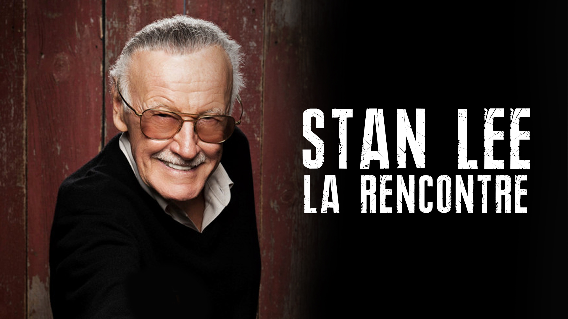 Stan Lee horizontal