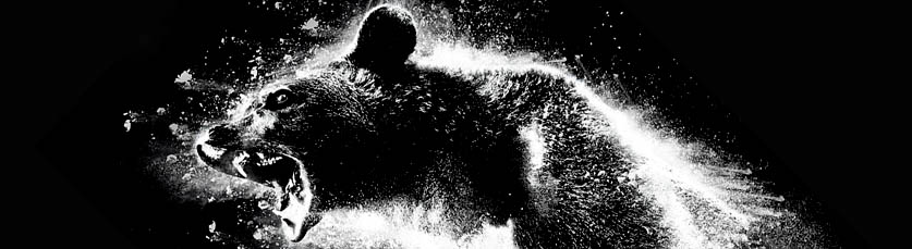 Cocaine Bear bannière